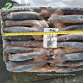 New frozen illex squid 150-200g Whole round China calamary high quality price